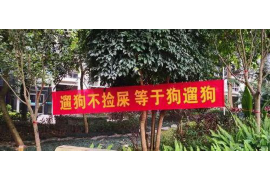 柳州企业清欠服务